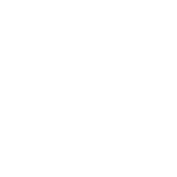 realtor logo trans